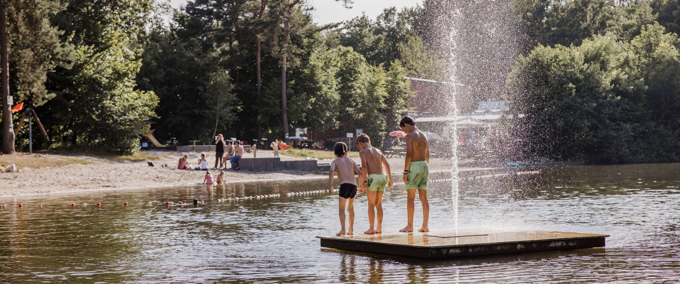 Baalse Hei in Turnhout