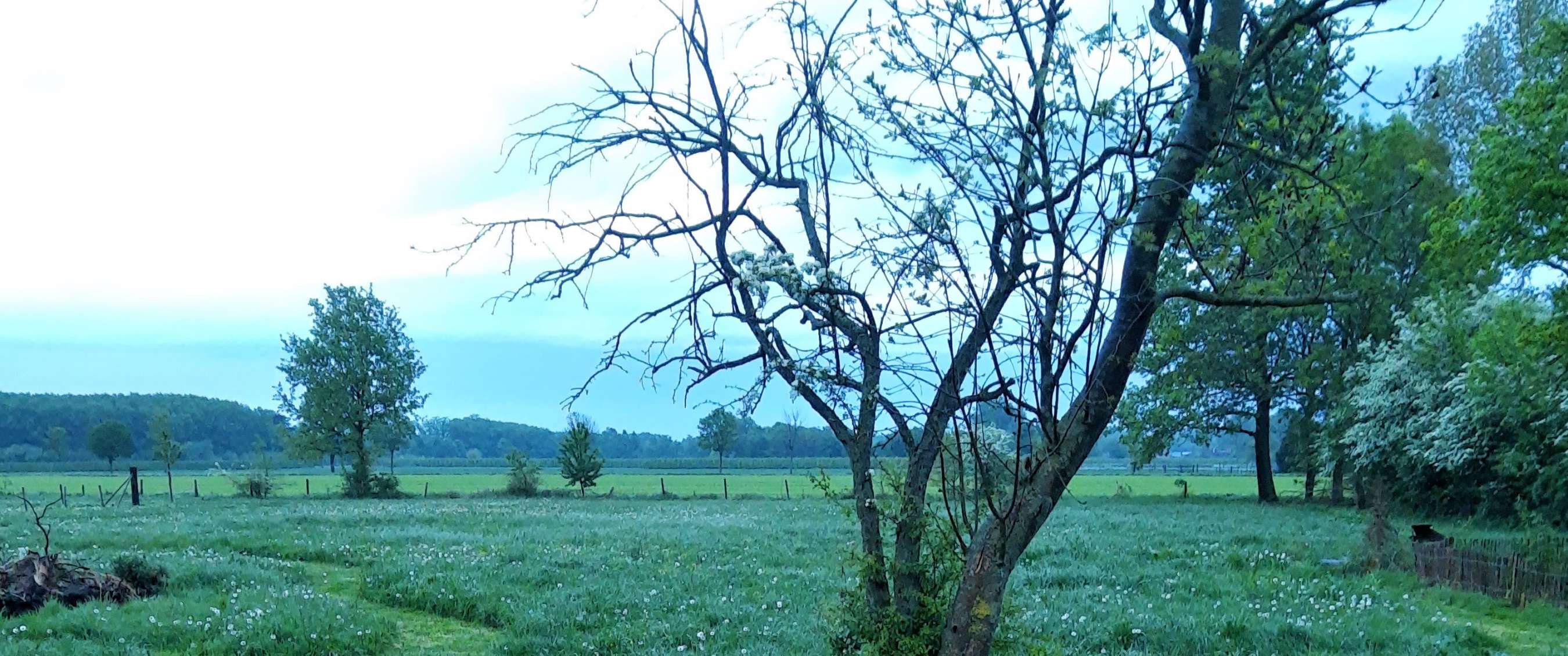 De Borgerij in Geetbets