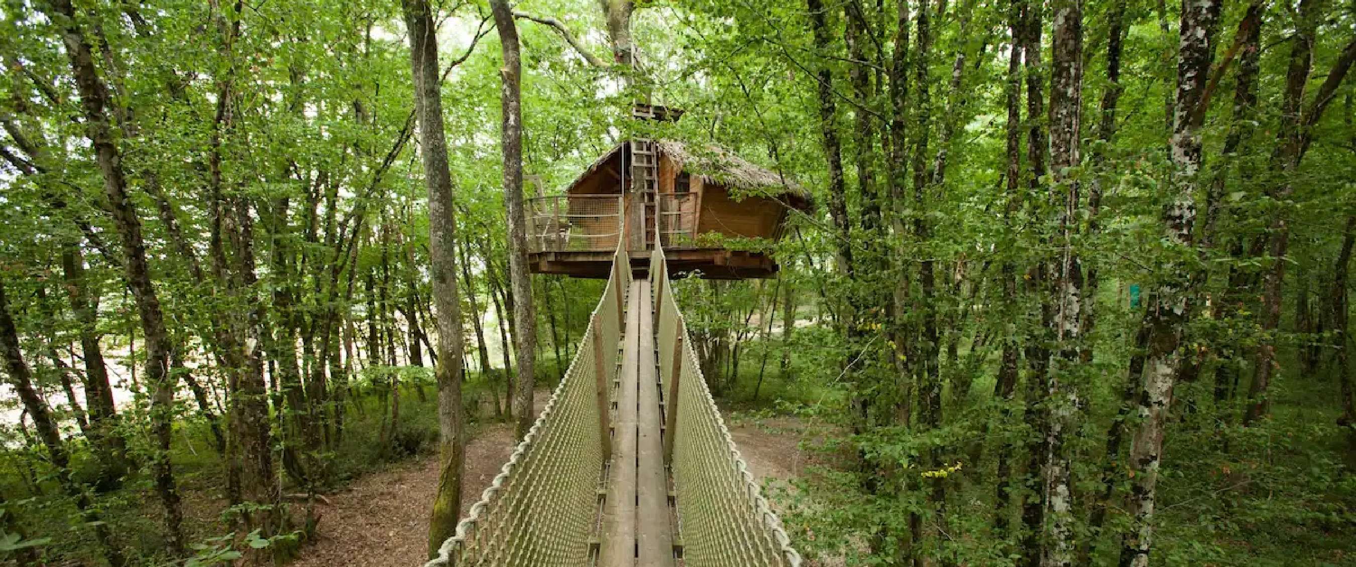 Boomhut Cabane Margaux