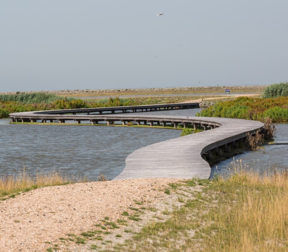 Een van de mooiste wandelingen met vlonderpaden in België