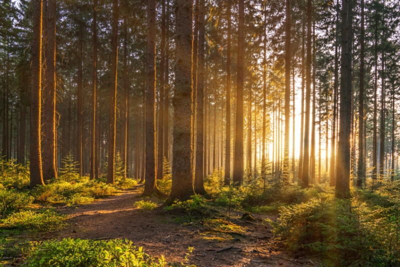 Wat kan je kopen met ecocheques? 9x inspiratie