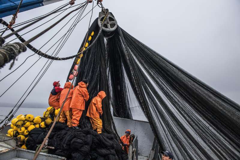 Patagonia NetPlus® Nylon: van visnet naar outdoorkleding