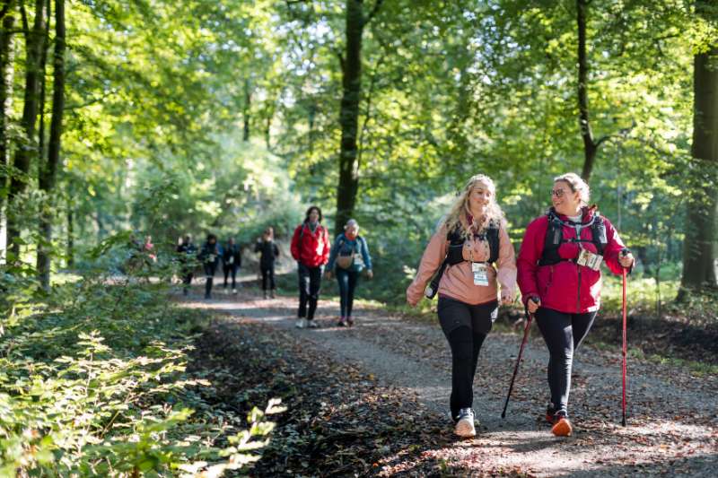 Wat heb je nodig voor een wandelevent?