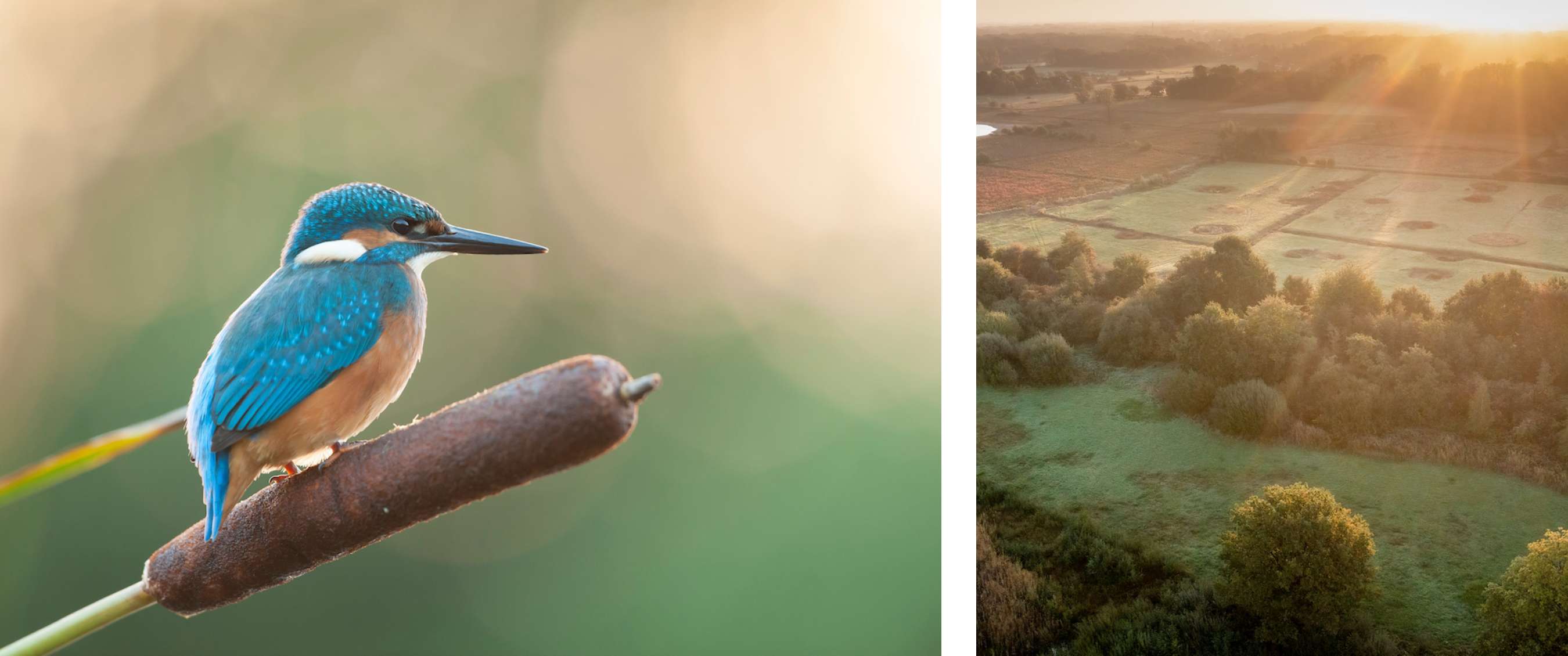 Wandelroute van A.S.Adventure en Natuurpunt in het Mechels Broek