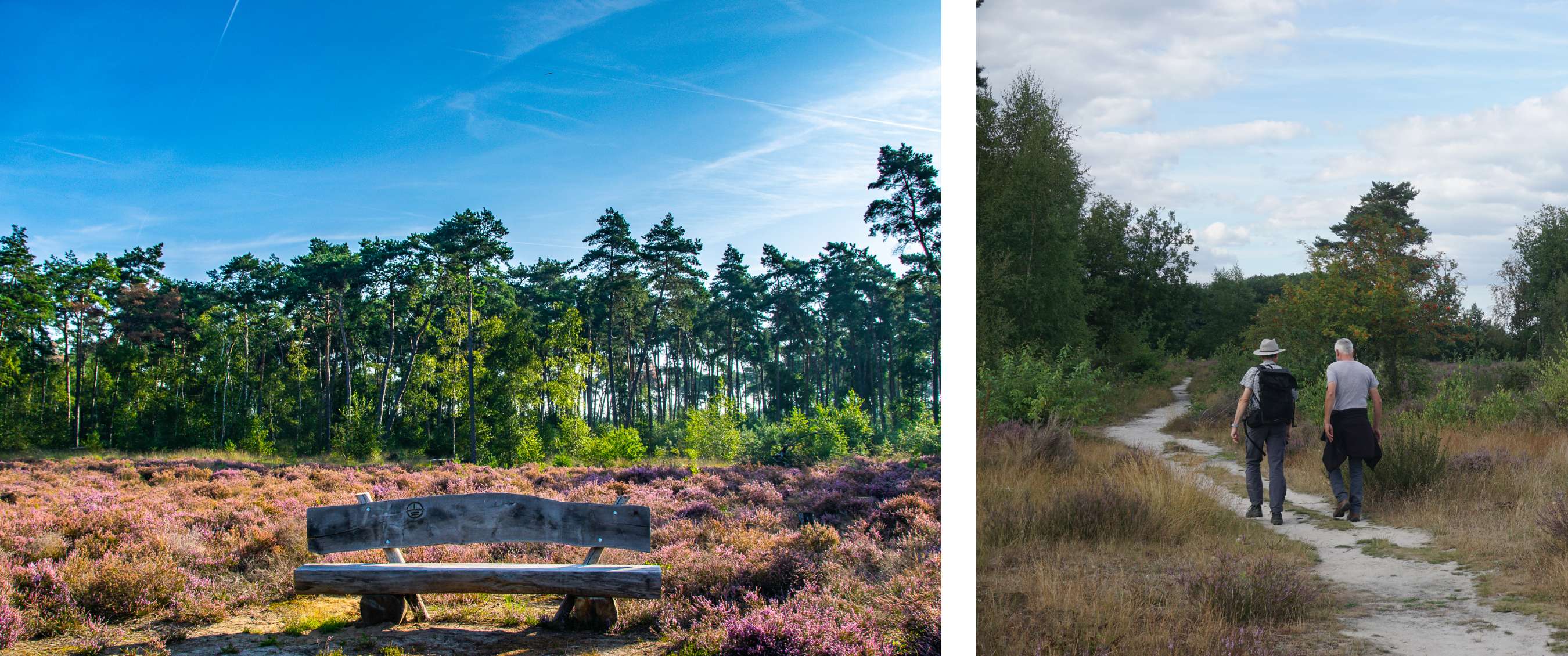 Wandelroute van A.S.Adventure en Natuurpunt in de Liereman